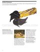 Page 6 Thumbnail