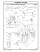 Page 556 Thumbnail
