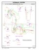 Page 559 Thumbnail