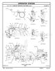 Page 895 Thumbnail