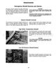 Page 15 Thumbnail