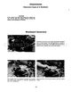 Page 20 Thumbnail