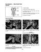 Page 39 Thumbnail