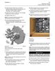 Page 381 Thumbnail