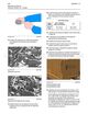 Page 494 Thumbnail