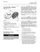 Page 317 Thumbnail