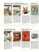 Page 5 Thumbnail