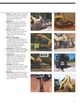 Page 11 Thumbnail