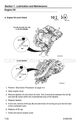 Page 178 Thumbnail