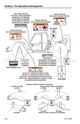 Page 34 Thumbnail