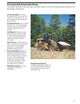 Page 13 Thumbnail