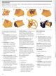 Page 11 Thumbnail